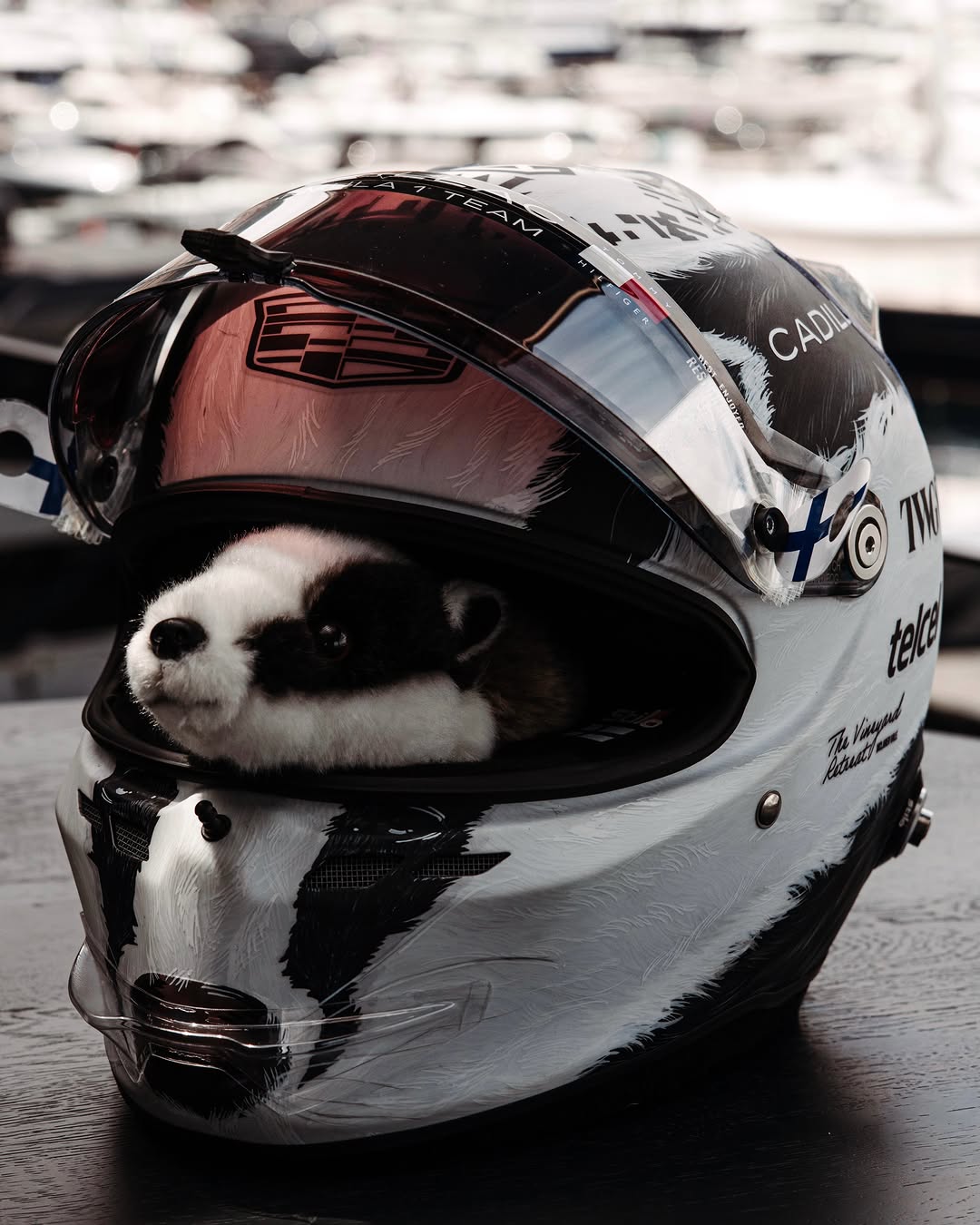 Casco especial Stilo Cadillac F1 de Valtteri Bottas 'Nigel el tejón' para el Gran Premio de Mónaco 2026 (día de carrera 7 de junio de 2026), diseñado por Tiffany Cromwell