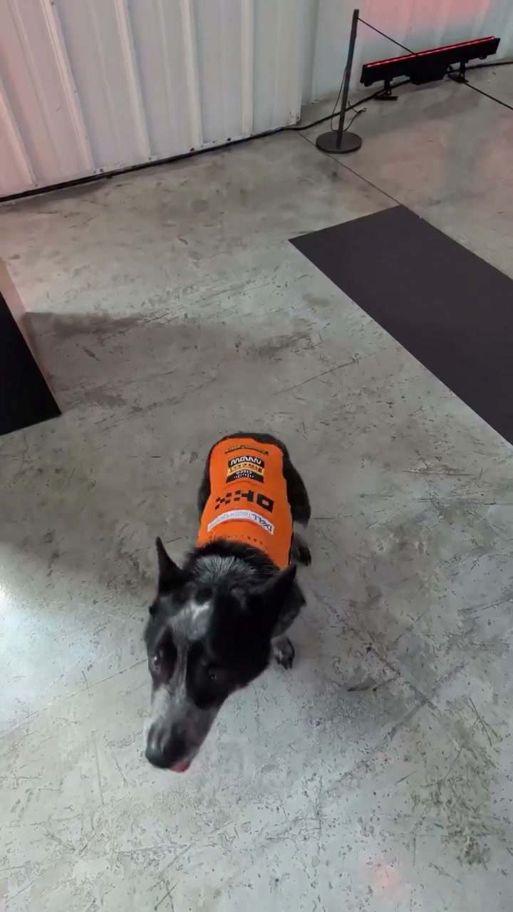 Video by McLaren Mastercard Formula 1 Team 🧡 on August 26, 2026. May be an image of fleece, helmet, jacket and text.